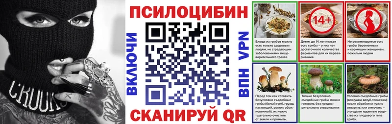 мега ссылки  закладка  Шилка  Псилоцибиновые грибы Psilocybe 